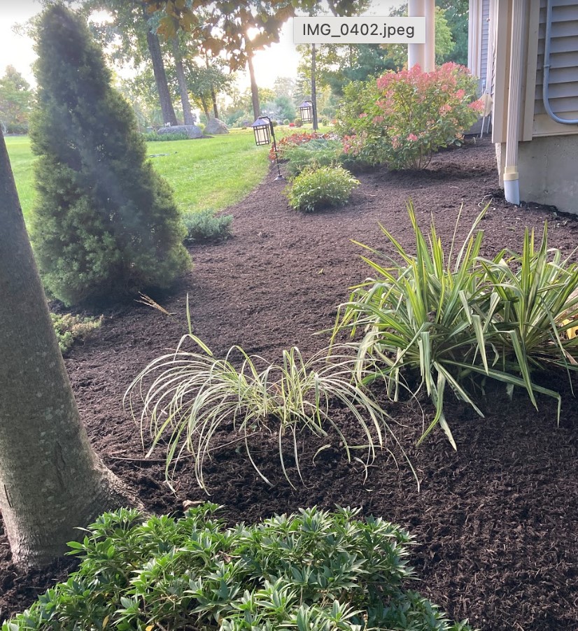 landscaping columbia ct